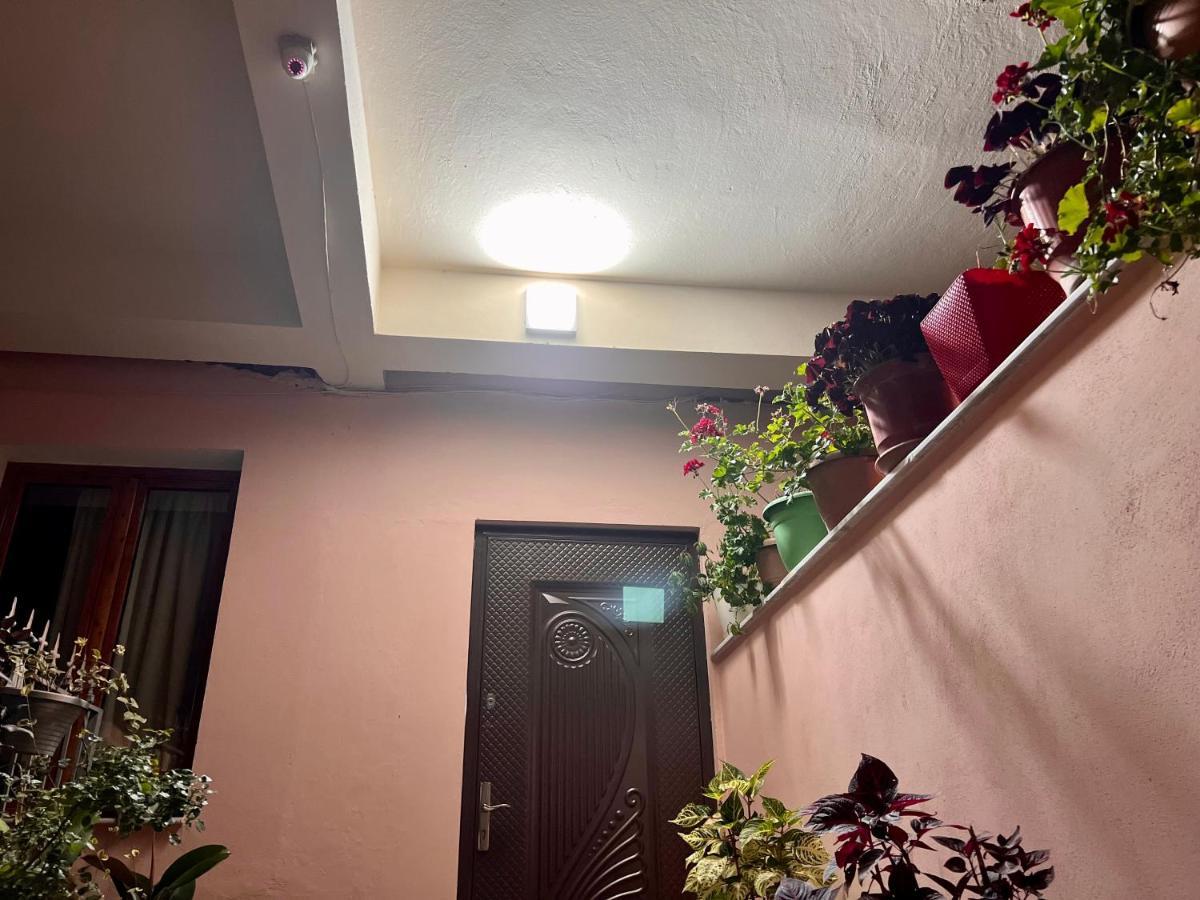 Villa Ensalv Berat - Apartment - Room - Penthouse Dış mekan fotoğraf