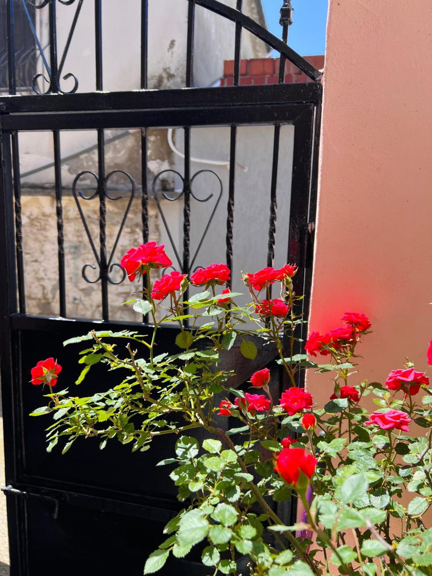 Villa Ensalv Berat - Apartment - Room - Penthouse Dış mekan fotoğraf